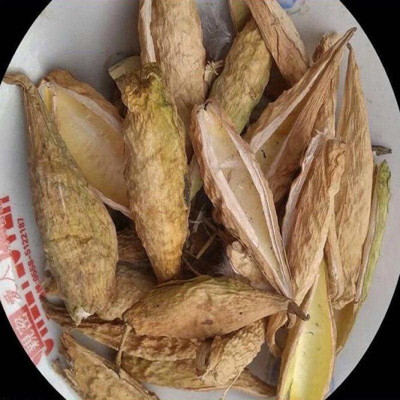 天浆壳天降壳萝摩壳老瓜瓢冷背中药材