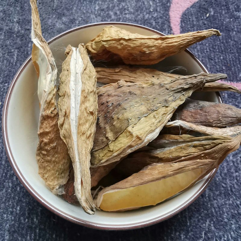 天浆壳天降壳萝摩壳老瓜瓢冷背中药材