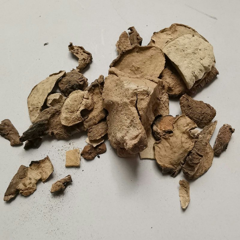 山乌龟白药子白药脂滇白药子中药材