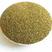 芹菜籽新货色绿非种子干净无杂质农产品