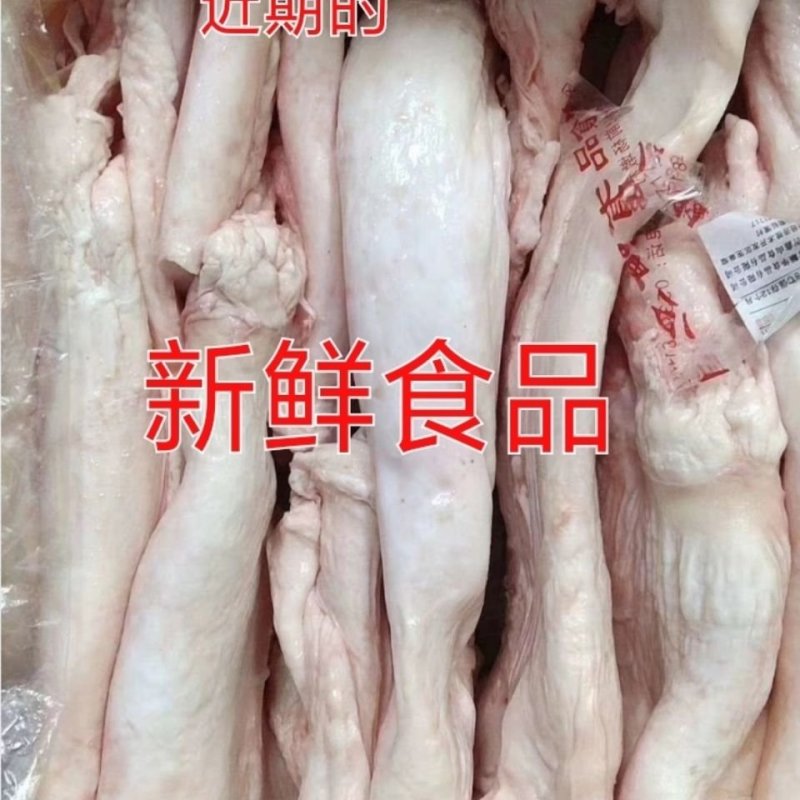 新鲜冷冻猪油猪板油一箱20斤饭店食堂快餐食材【2月11日