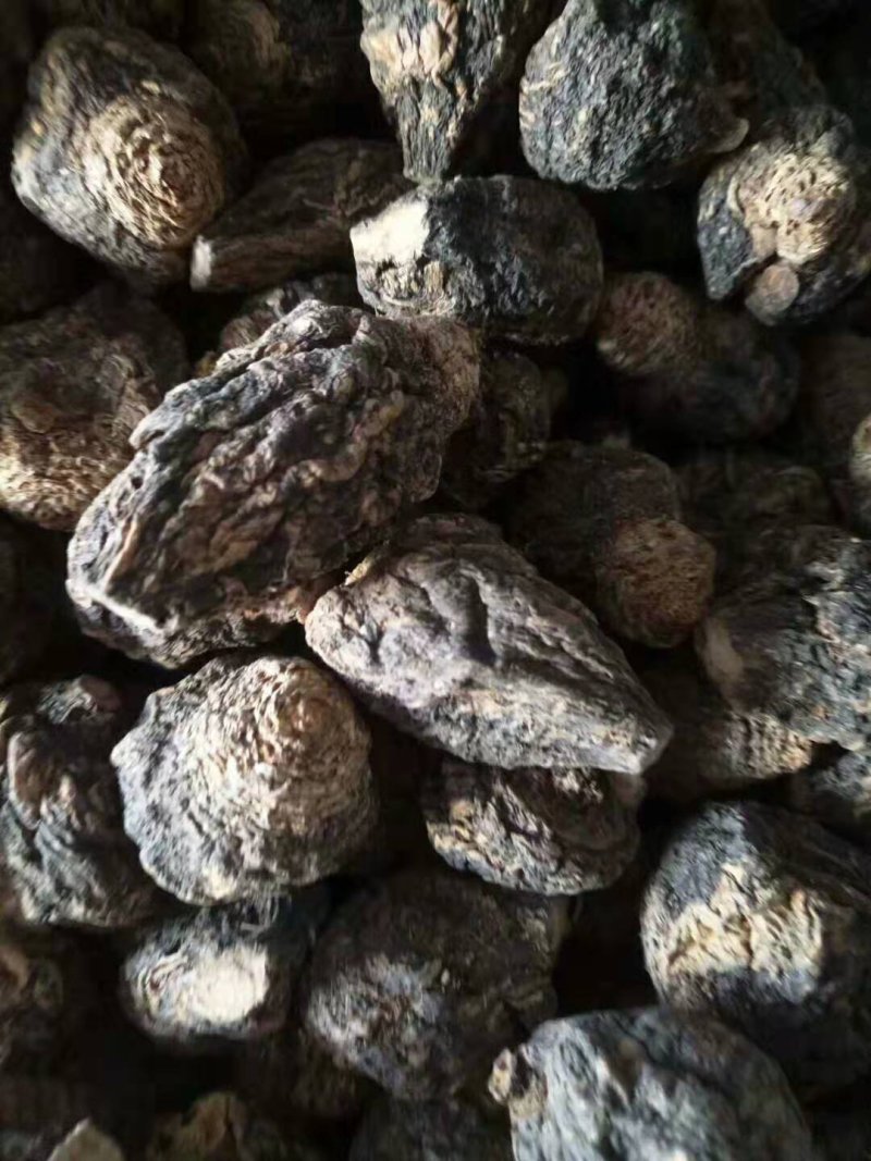 云南秘鲁玛卡片，玛卡，大量批发，青海格尔木发货