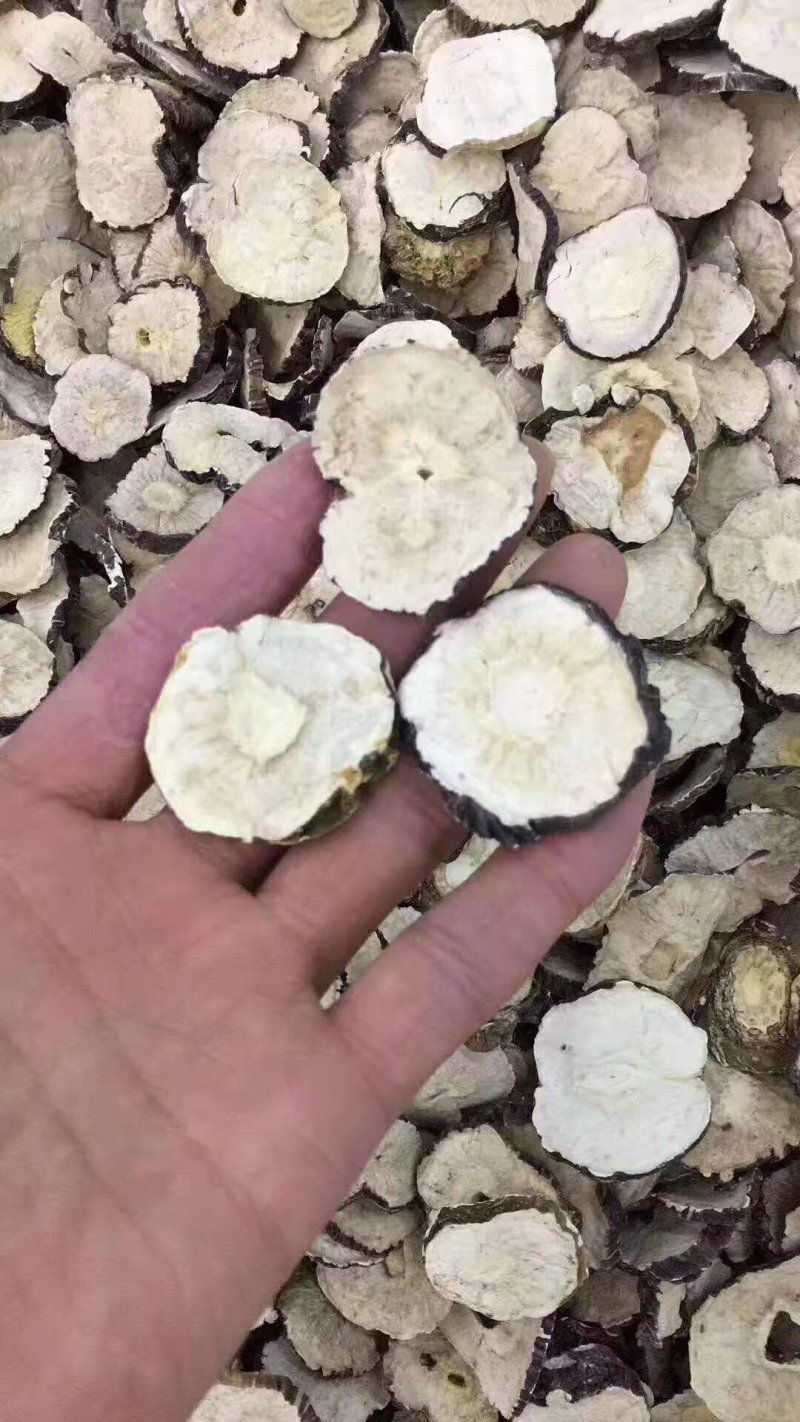 云南秘鲁玛卡片，玛卡，大量批发，青海格尔木发货