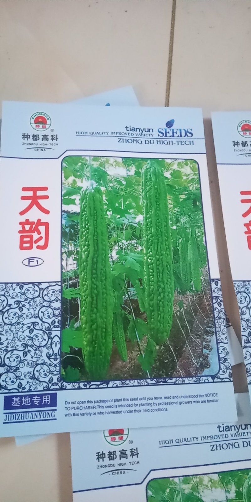 苦瓜种