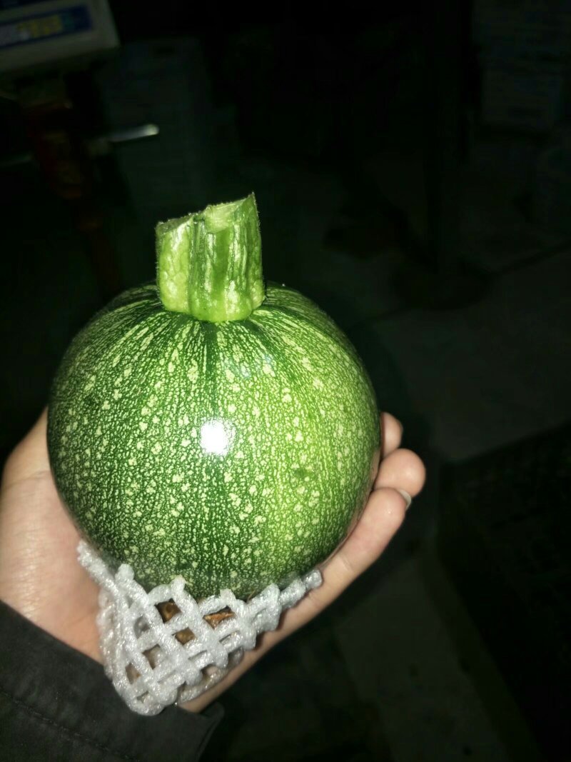 翡翠小南瓜，小圆瓜，嫩南瓜，非贝贝南瓜蜜本南瓜西葫芦