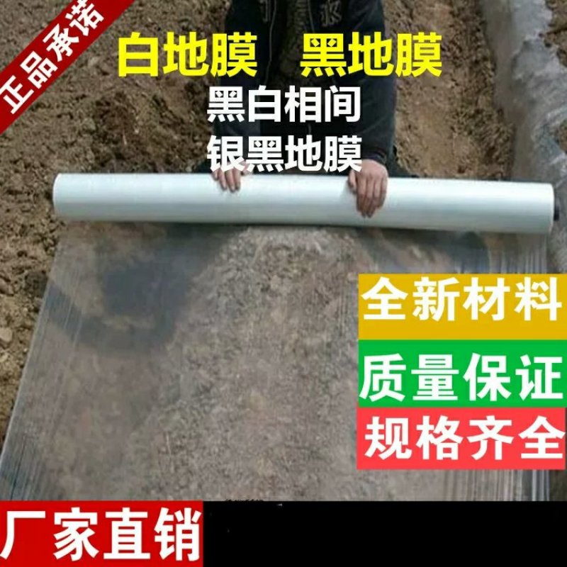 白地膜农用银黑色薄膜果树果园保温保湿蔬菜棚工程混凝