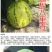 超甜八里香甜瓜种子甜度15度亩产万斤结果多果期长基地
