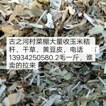 玉米桔干