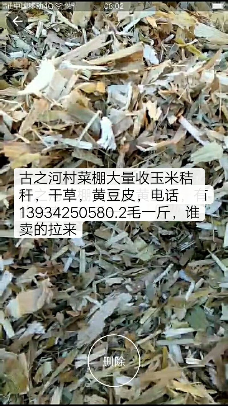 玉米桔干