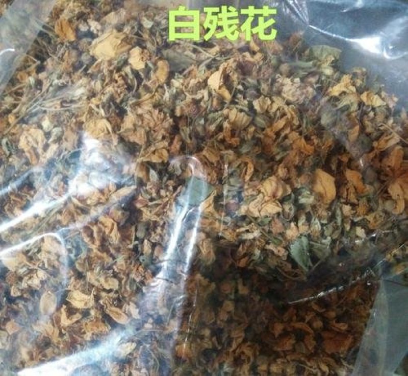 常年批发代购白残花