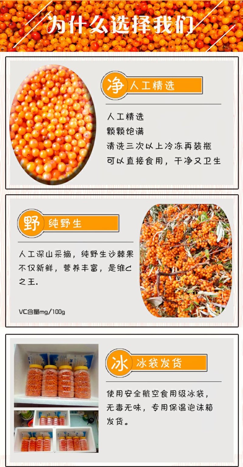 山西吕梁特级野生沙棘果新鲜沙棘果酵素榨汁