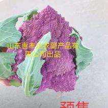 宝塔花菜紫花菜紫色宝塔花菜特菜有机蔬菜