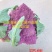 宝塔花菜紫花菜紫色宝塔花菜特菜有机蔬菜