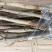 车厘子树苗嫁接樱桃树苗品种齐全基地直供现挖现发量大从优