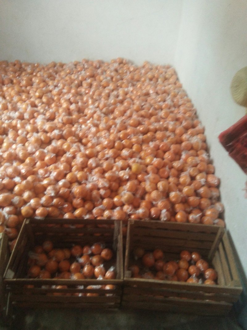 诚信交易，质量好，价格便宜皮色好，光泽好