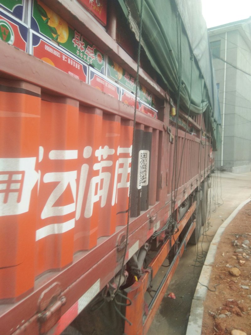 诚信交易，质量好，价格便宜皮色好，光泽好