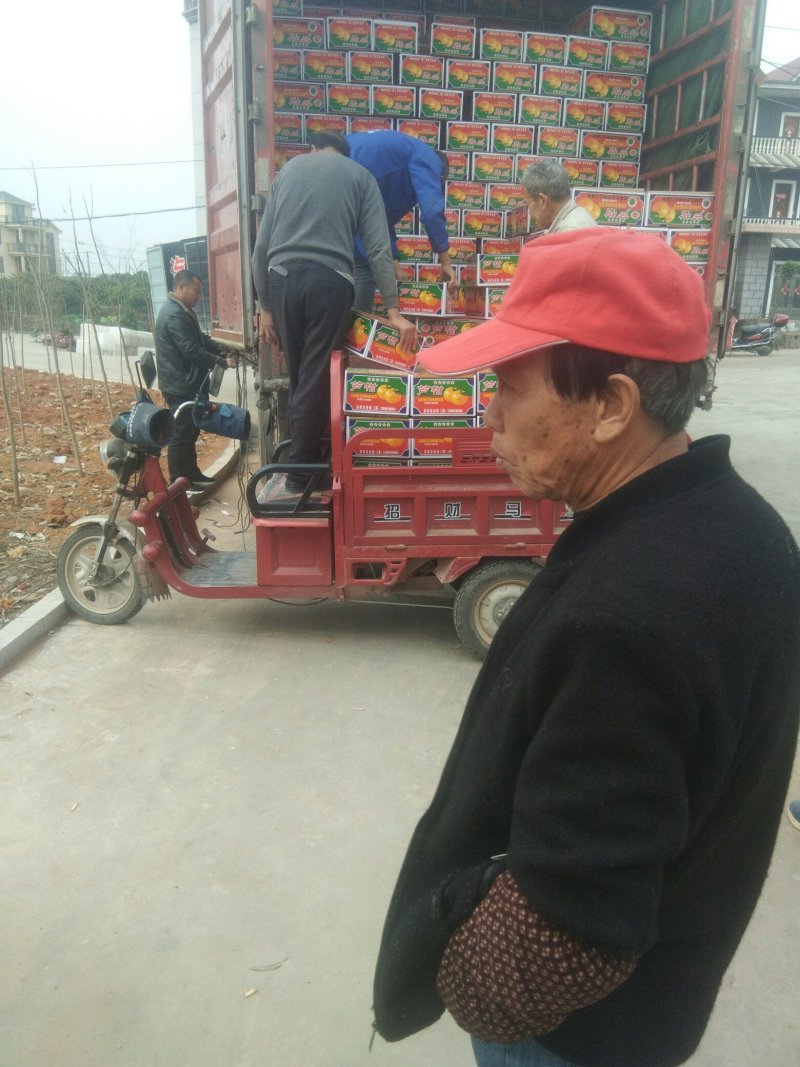 诚信交易，质量好，价格便宜皮色好，光泽好