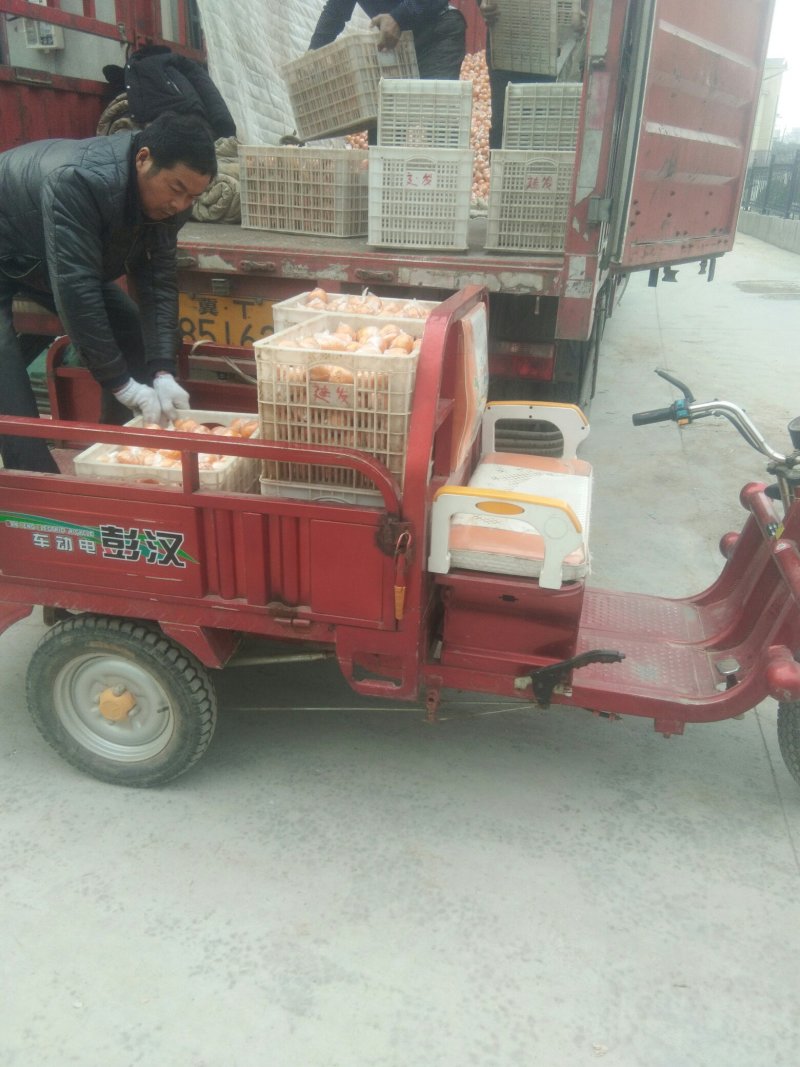 诚信交易，质量好，价格便宜皮色好，光泽好
