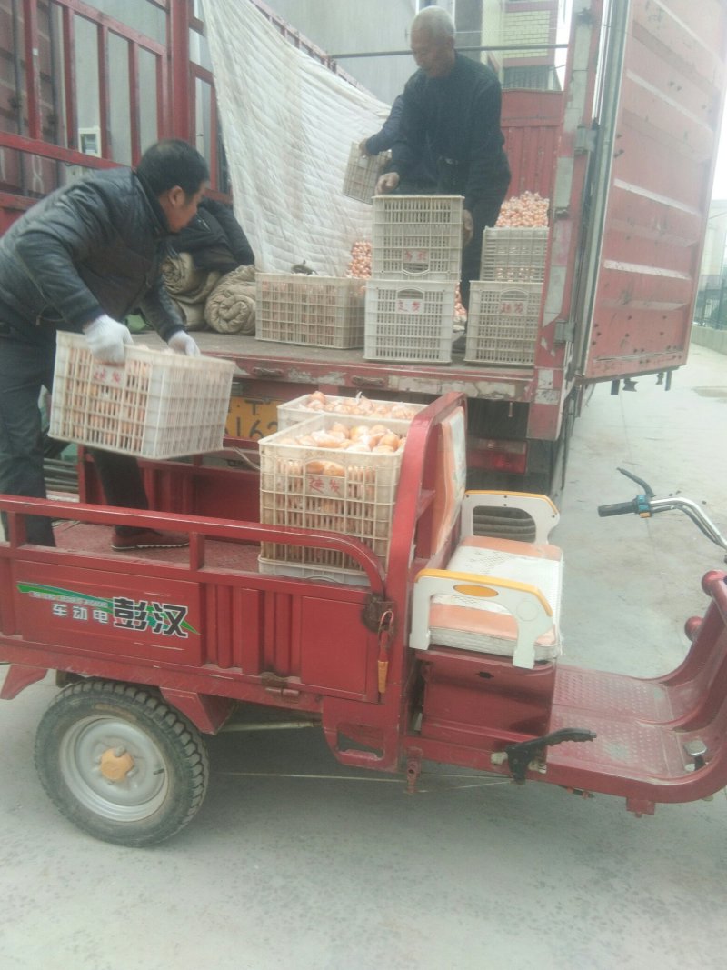 诚信交易，质量好，价格便宜皮色好，光泽好