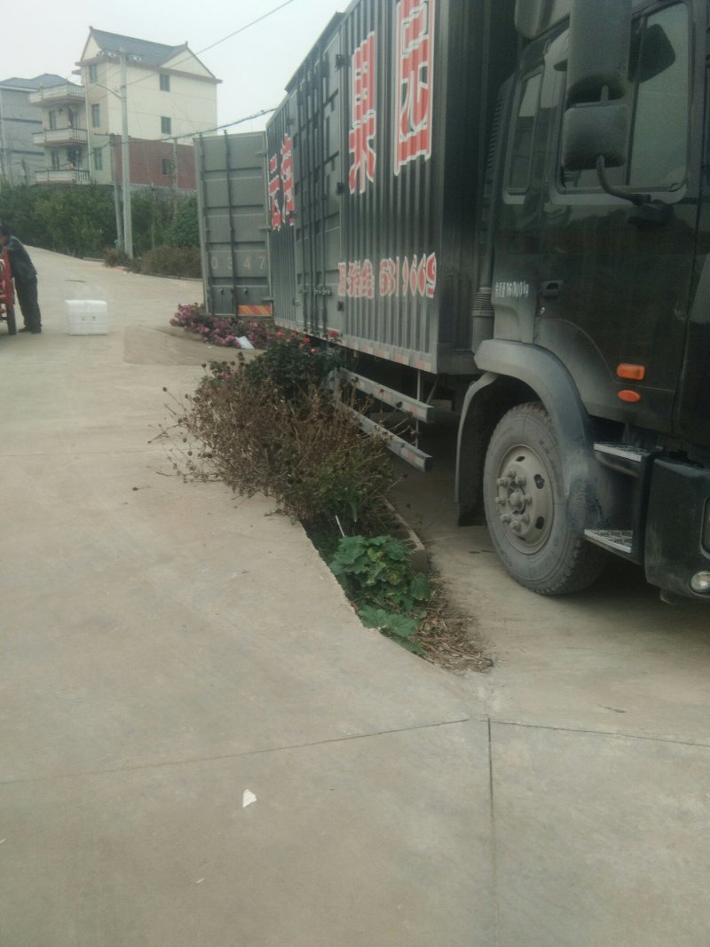 诚信交易，质量好，价格便宜皮色好，光泽好