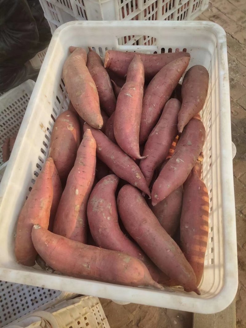红暑