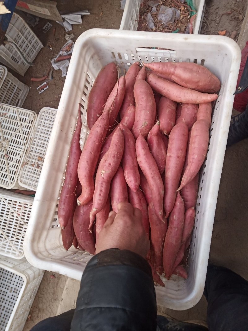 红暑