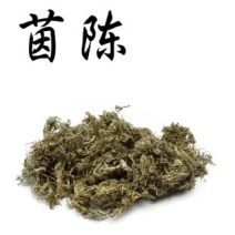 常年批发河南茵陈各种规格