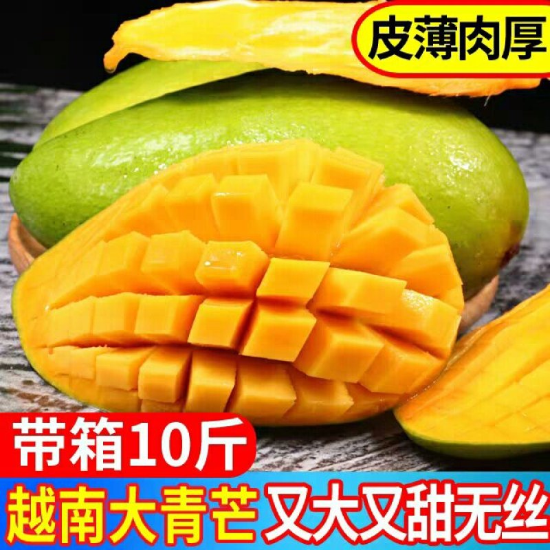 越南大青芒新鲜芒果当季水果批发大青芒金煌芒