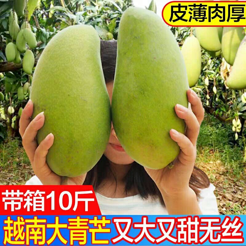 越南大青芒新鲜芒果当季水果批发大青芒金煌芒