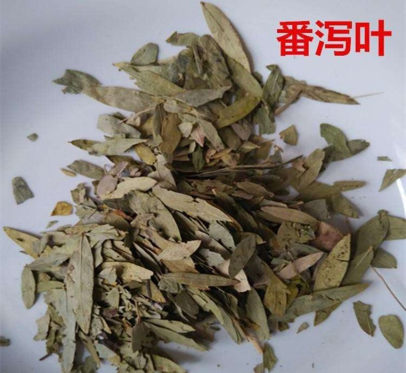 番泻叶，常年批发供应芜杂番泻叶中药材，进口货
