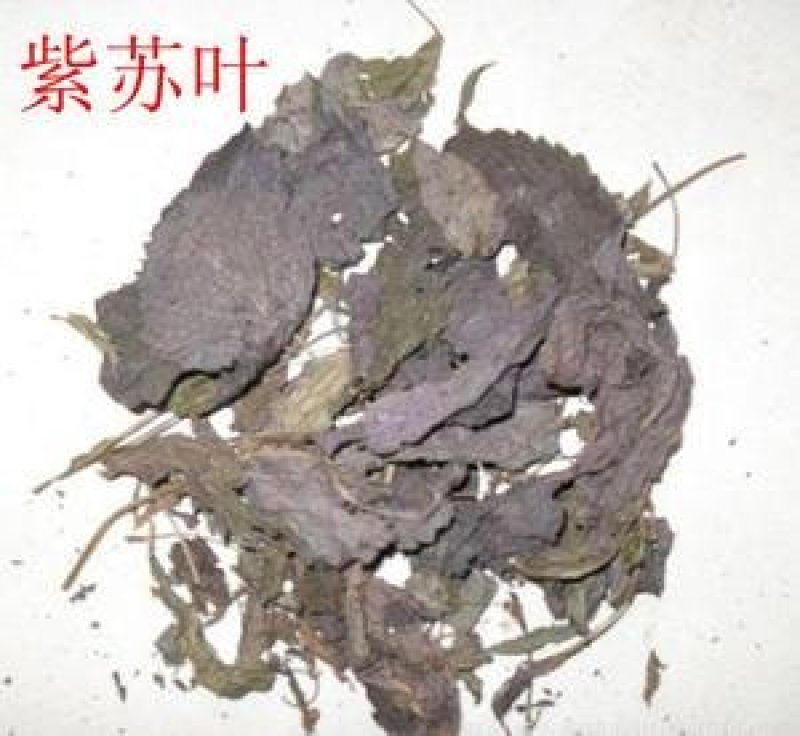 常年批发代购紫苏叶物美价廉