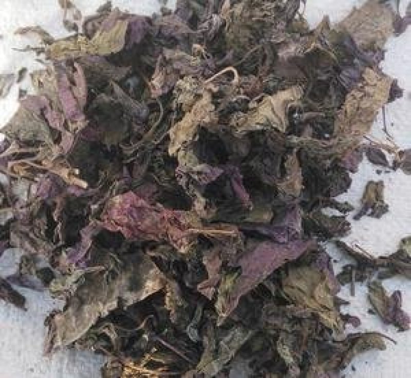 常年批发代购紫苏叶物美价廉