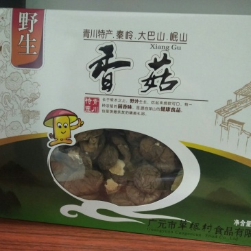 三山七绝野生香菇