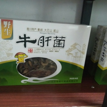 四川女皇故里三山七绝野生牛肝菌