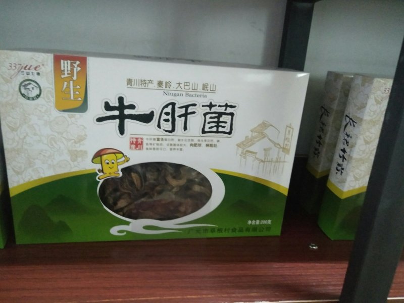 四川女皇故里三山七绝野生牛肝菌