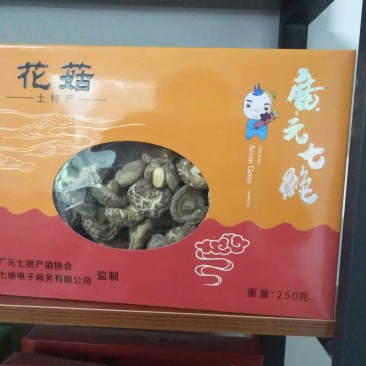 四川女皇故里七绝花菇