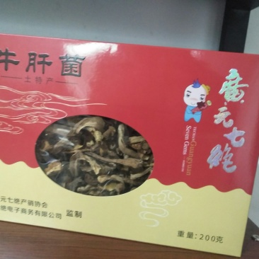 四川女皇故里七绝牛肝菌