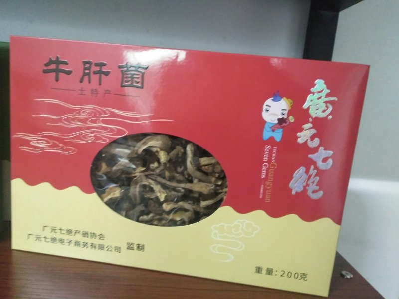 四川女皇故里七绝牛肝菌
