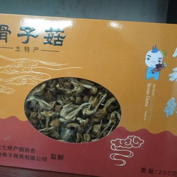 四川女皇故里七绝滑子菇