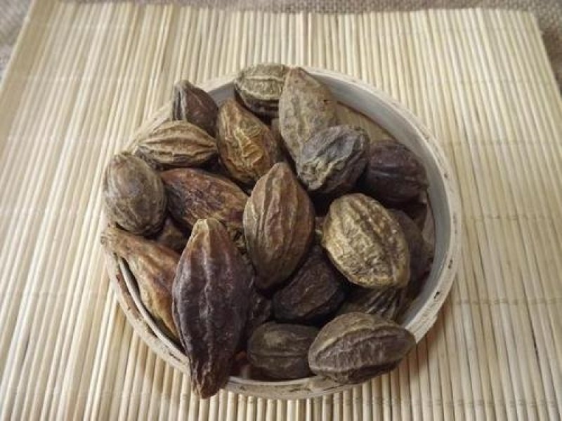 诃子，常年批发诃子，柯子肉产地直销
