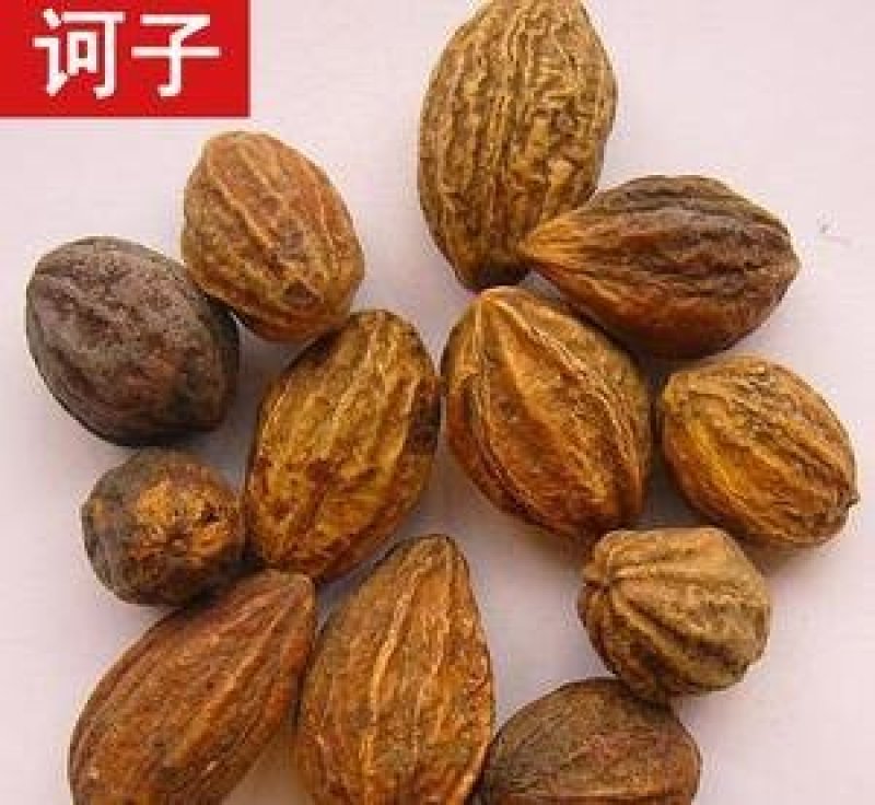 诃子，常年批发诃子，柯子肉产地直销