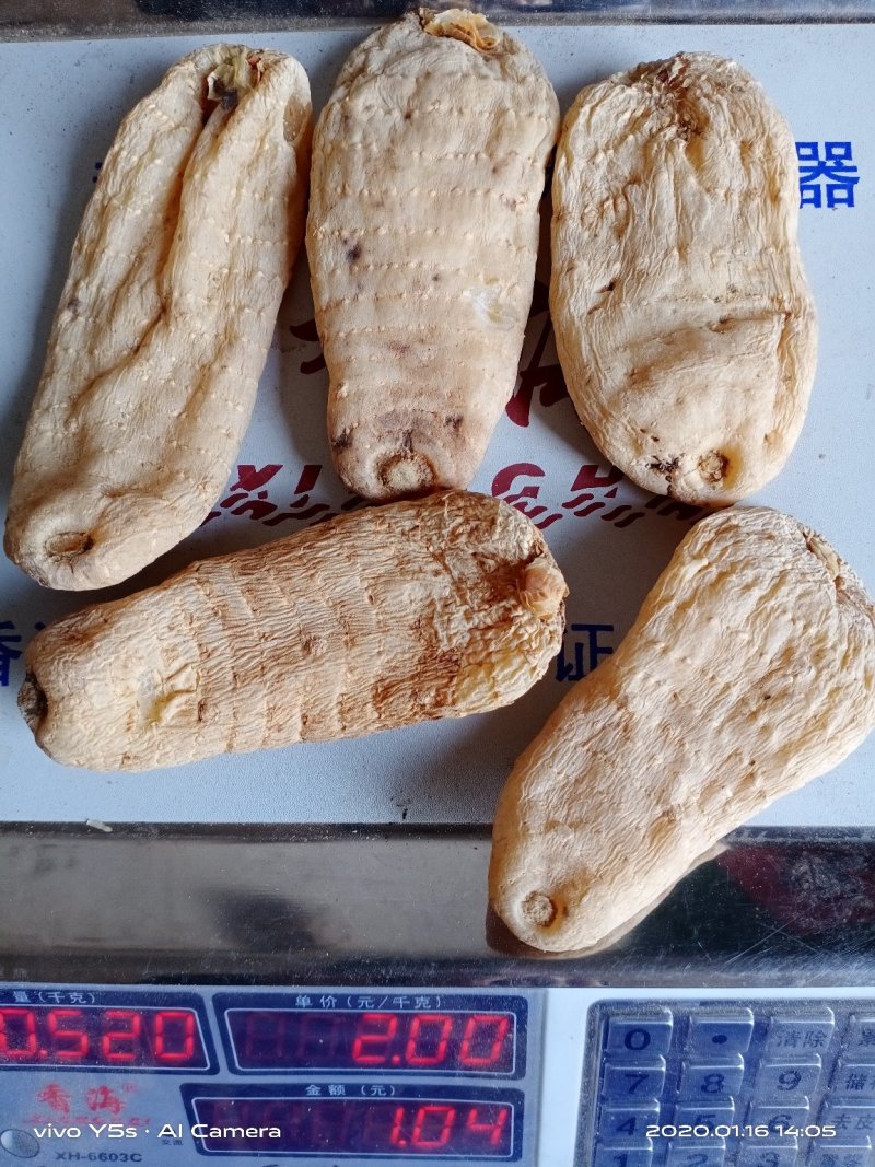 【秦岭深山林下仿野生种植天麻】精选特一二三四级精品干天麻
