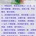 中华之星西瓜种子早熟大果京欣地雷瓜大红瓤超甜皮薄花皮圆瓜