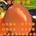 无核脆柿树苗无核柿子树苗不暖柿子树苗摘下就吃柿子苗