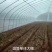 蔬菜大棚厂家直销，质量保障，价格实惠，安装方便