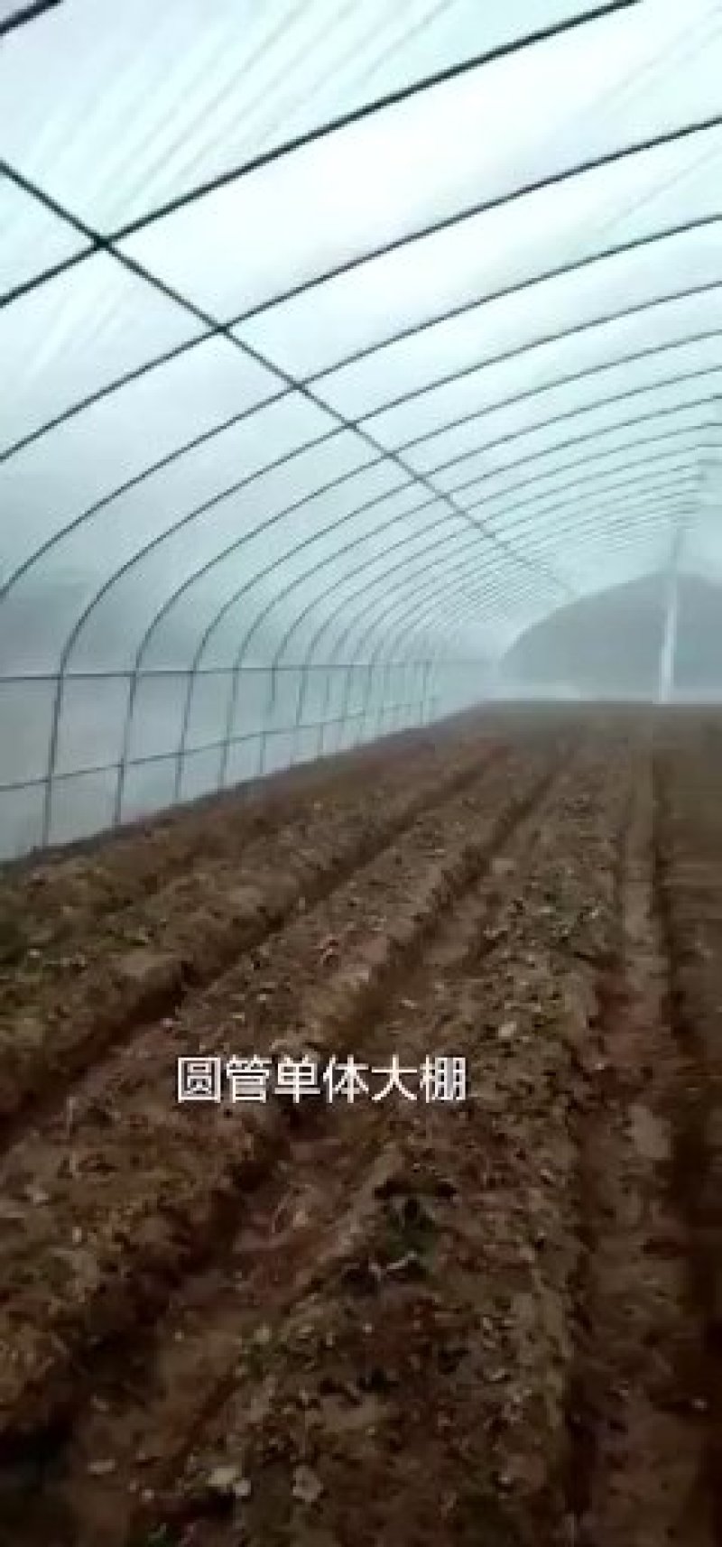 蔬菜大棚厂家直销，质量保障，价格实惠，安装方便