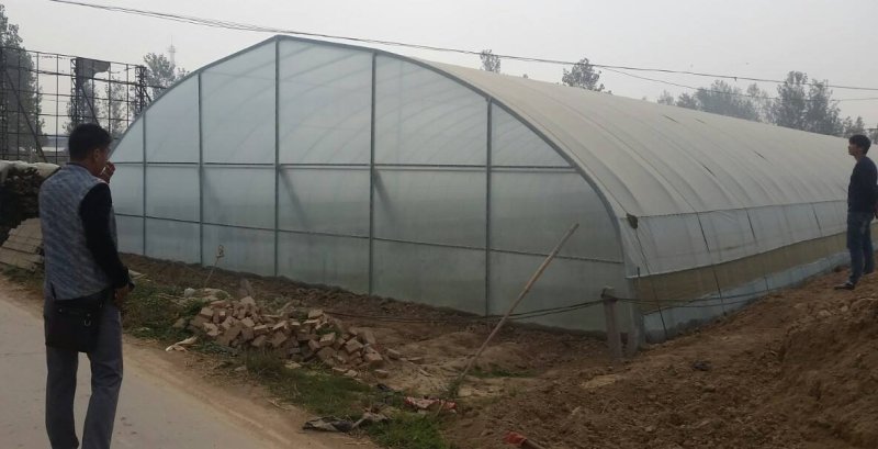 蔬菜大棚厂家直销，质量保障，价格实惠，安装方便