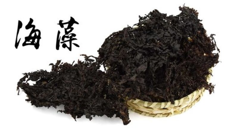 海藻，常年批发供应各种规格海藻中药材量大从优