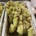 泰州白鹅鹅苗250g以下