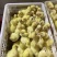 泰州白鹅鹅苗250g以下